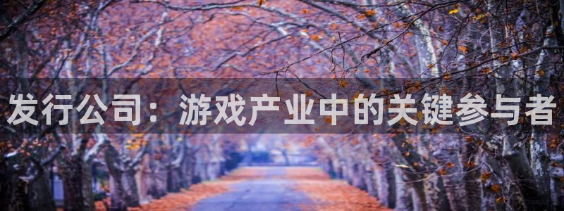 pp电子官网代理开号平台：发行公司：游戏产业中的关键参与者