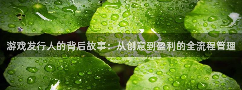 pp电子红酒怎么样：游戏发行人的背后故事：从创意到盈利的全流程管理