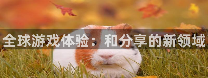 pp电子官网挂机项目怎么样可靠吗