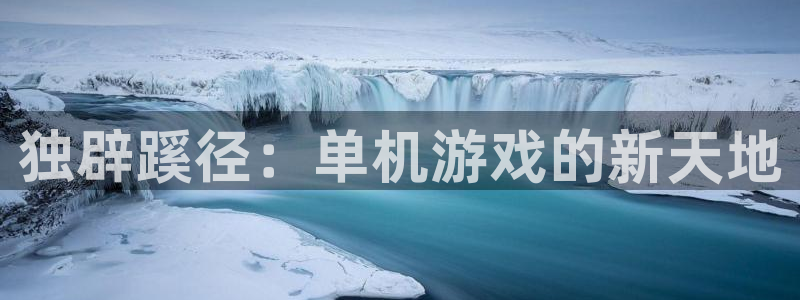 广东pp电子营销策划有限公司：独辟蹊径：单机游戏的新天地