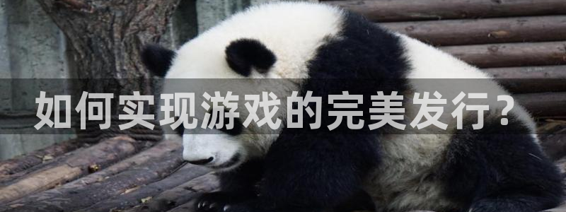 pp电子品牌logo