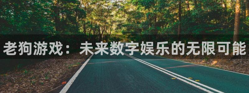 pp电子电子商务有限公司
