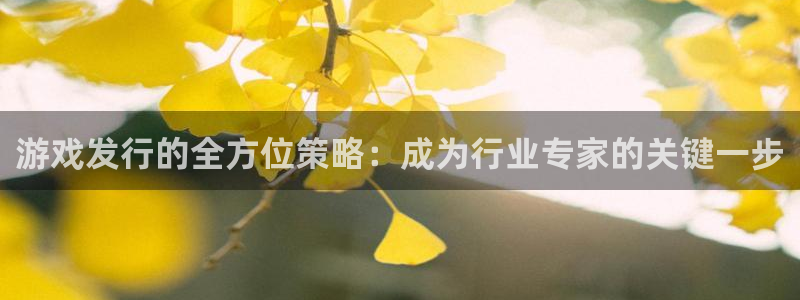 pp电子官网招商主管