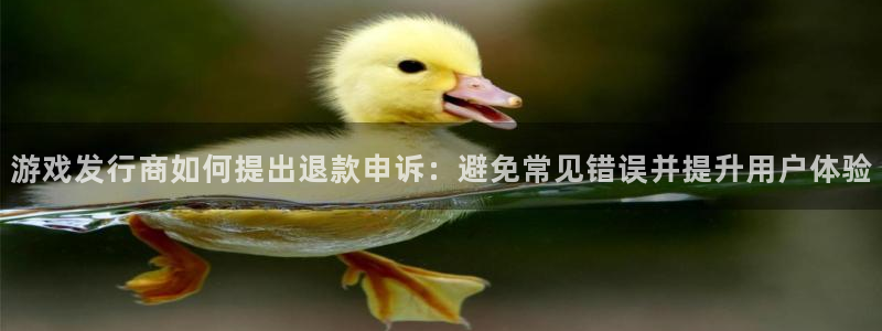 pp电子子文化：游戏发行商如何提出退款申诉：避免常见错误并提升用户体验