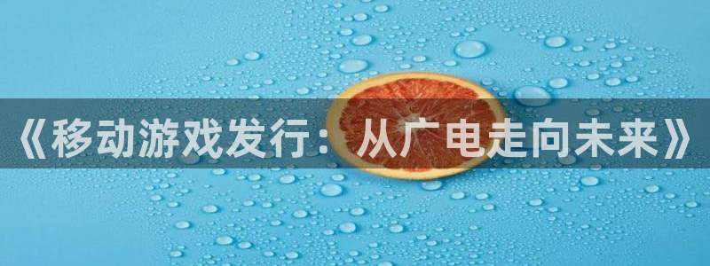 pp电子官网注册平台是什么意思：《移动游戏发行：从广电走向未来》