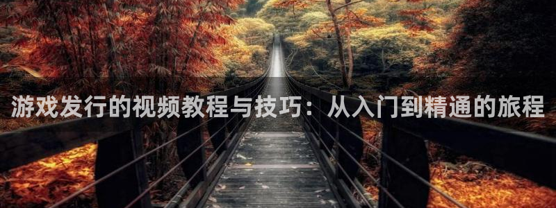 pp电子子公司怎么样可靠吗：游戏发行的视频教程与技巧：从入门到精通的旅程