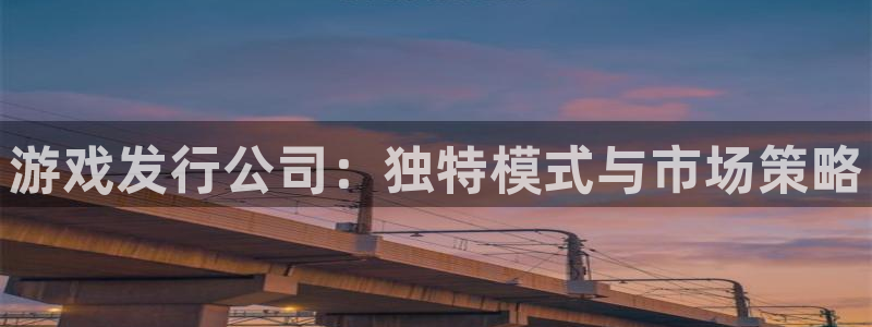 广州pp电子运动服：游戏发行公司：独特模式与市场策略