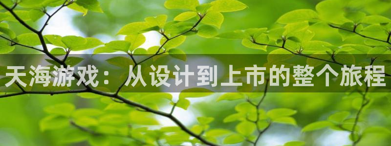 pp电子电子商务有限公司招聘：天海游戏：从设计到上市的整个旅程