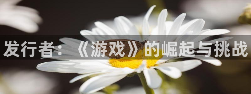 pp电子官网登录注册不了账号：发行者：《游戏》的崛起与挑战