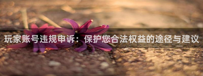 pp电子官网客服招聘