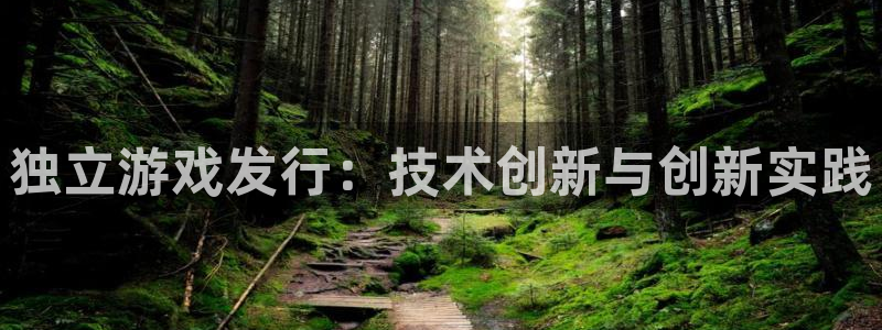 pp电子官网客服服务怎么样：独立游戏发行：技术创新与创新实践