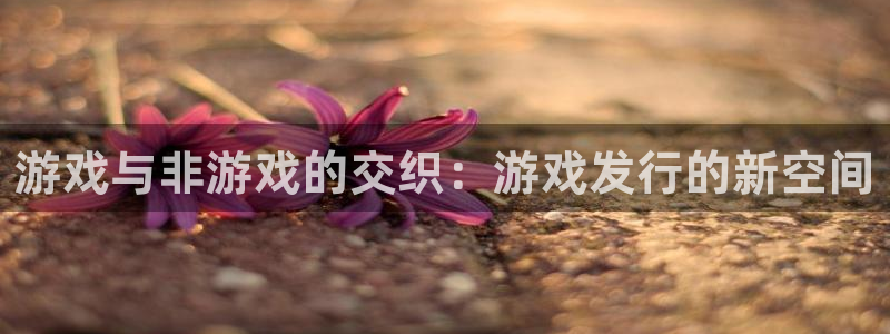 南京pp电子子电子商务有限公司