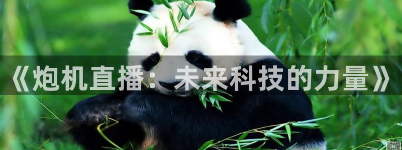 乐球nba直播免费观看：《炮机直播：未来科技的力量》