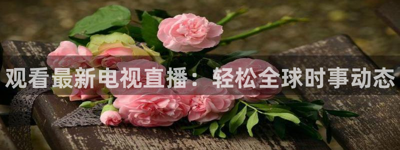 乐球直播在线观看