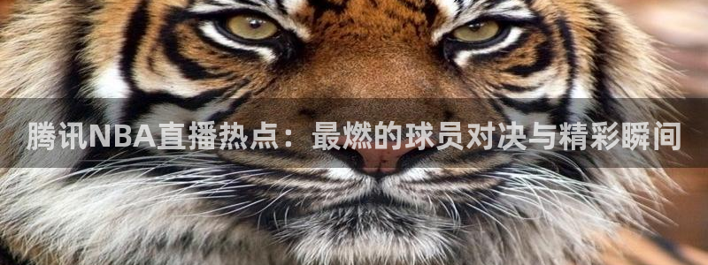 乐球直播免费直播