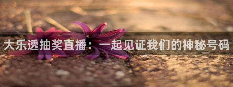 nba直播乐球直播