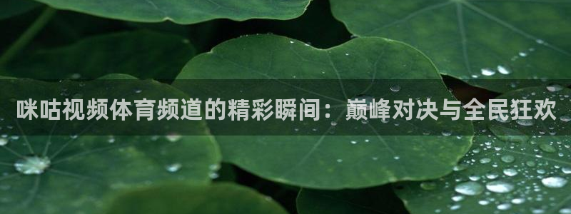 乐球直播间在线直播：咪咕视频体育频道的精彩瞬间：巅峰对决与全民狂欢