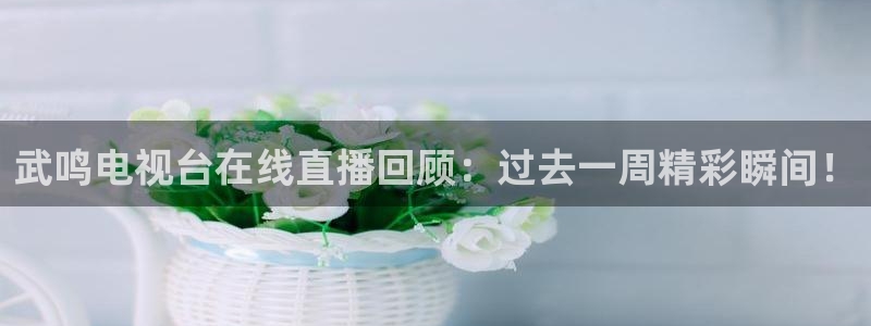 乐球体育直播：武鸣电视台在线直播回顾：过去一周精彩瞬间！