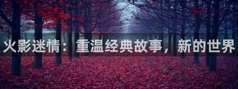 乐球nba直播无插件高清：火影迷情：重温经典故事，新的世界